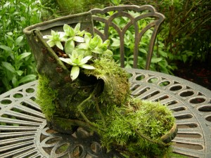 Garden Art