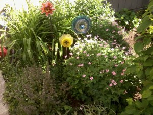 test 556
