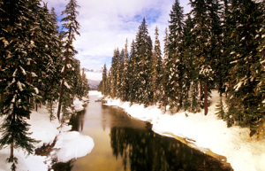nature trails