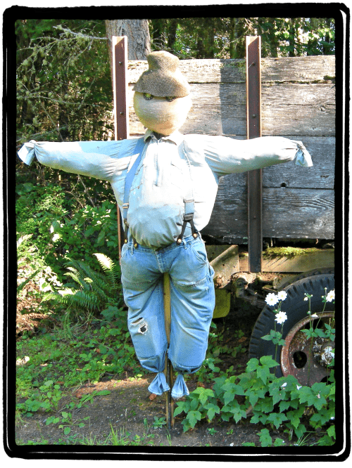 scarecrow diy around scarecrows fall yard simple thriftynorthwestmom pumpkin halloween craft