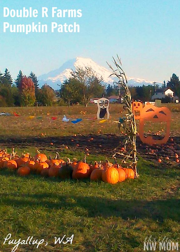 Lakeview Farms Pumpkin Patch Oregon