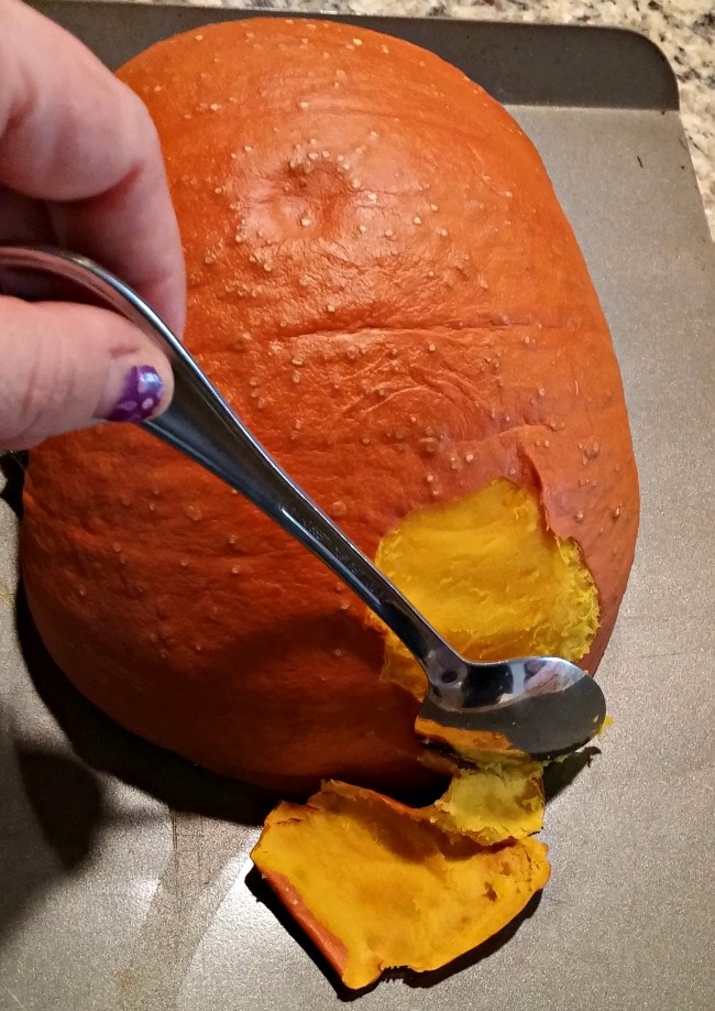 How to Make Pumpkin Puree from Scratch in 5 Easy Steps! Thrifty NW Mom