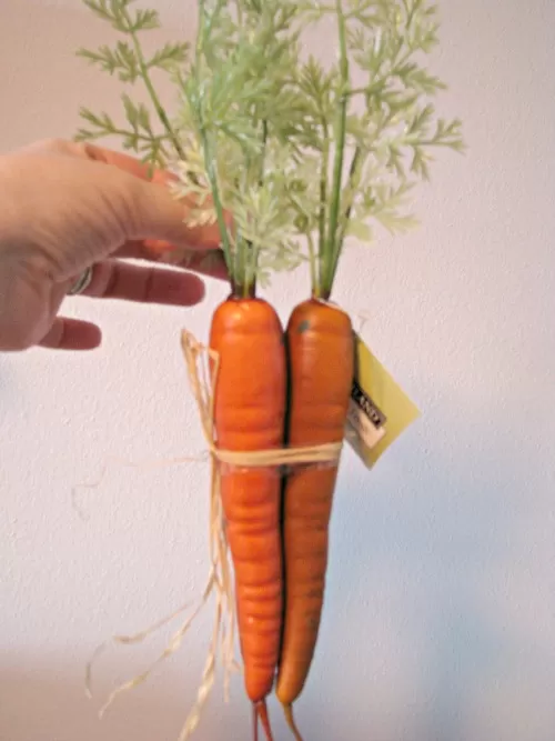 Carrots for Snowman in a Bag Kit