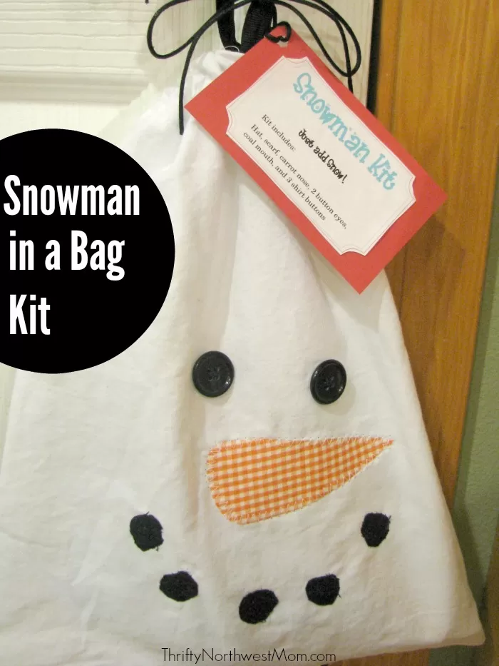 Snowman In a Bag Kit