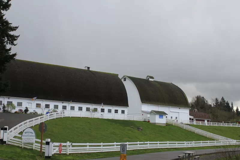 Kelsey Creek Farm Tour in Bellevue