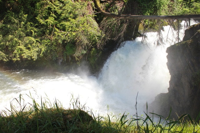 images Tumwater Falls Park Reviews tumwater falls park