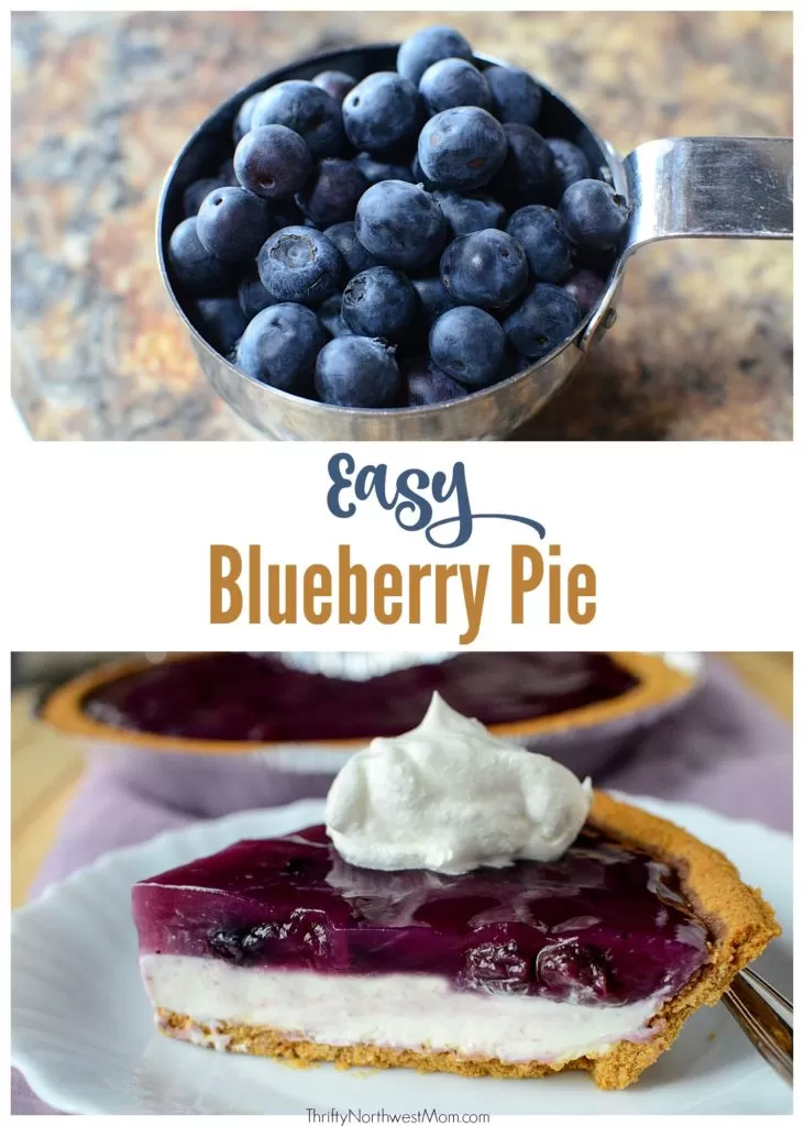 Easy Blueberry Pie