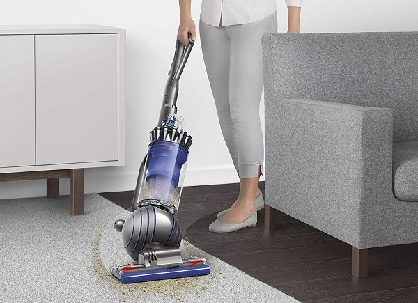 bed bath and beyond dyson v10 animal