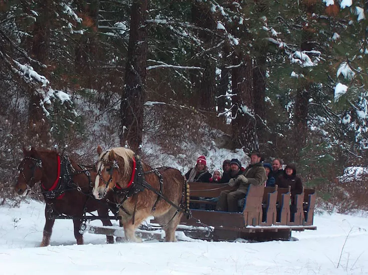 Leavenworth Wa. Lighting Festival Trip & Sleigh Ride