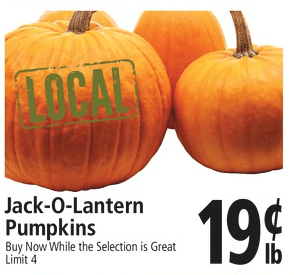 Pumpkins $.19/lb at Top Foods (20 lb Pumpkin for $3.80)!