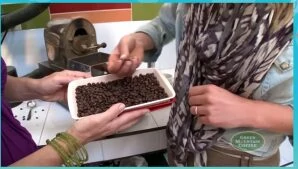 Free Sample of Green Mountain Fair Trade Coffee – K-Cup Coffee Sample