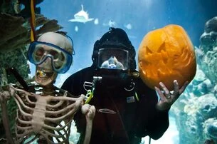 Point Defiance Zoo Boo – $2 Off Zoo Admission with Costume