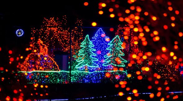 zoolights discounted tickets
