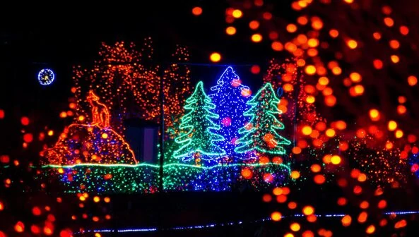 discount zoolights tickets
