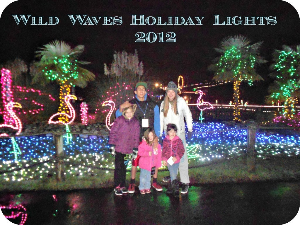 Wild Waves Holiday With Lights (Discount Tickets For 12.99