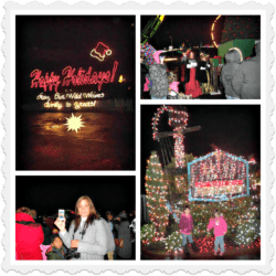 Wild Waves - Holiday With Lights (Discount Tickets For $12.99