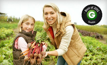 Full Circle Organic Produce – Get Over Half Off Farm Fresh Organic Produce!