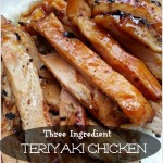 Slow Cooker Teriyaki Chicken – 3 Ingredients & So Easy!