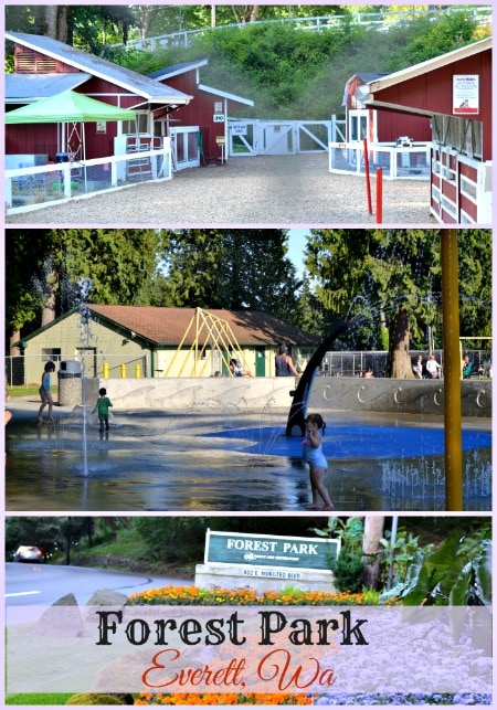 Forest Park in Everett WA, is packed full of fun for families. There is a petting zoo, water spray park, play ground, walking trails and much more!