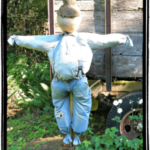 Diy Scarecrow 2