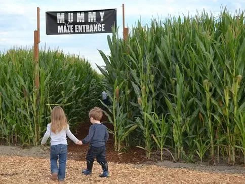 Carpinito Brothers Corn Maze & Hay Ride Start at $3!!!