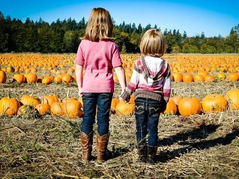 Pumpkin Patch Fun – Thomasson Farm Enumclaw