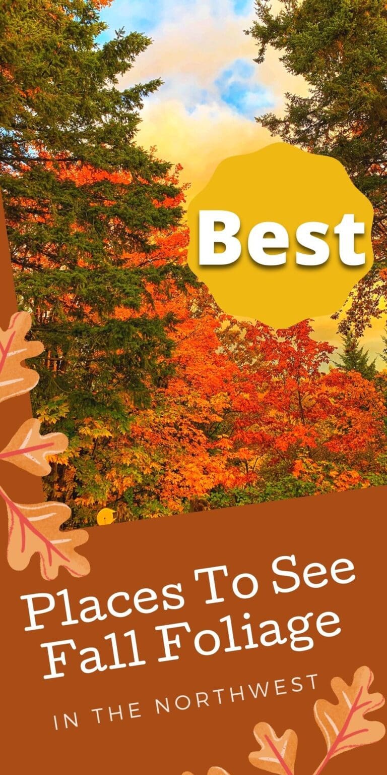 Fall Foliage Places to View in Seattle, Portland & More! Thrifty NW Mom