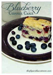 Blueberry Coffee Cake Recipe