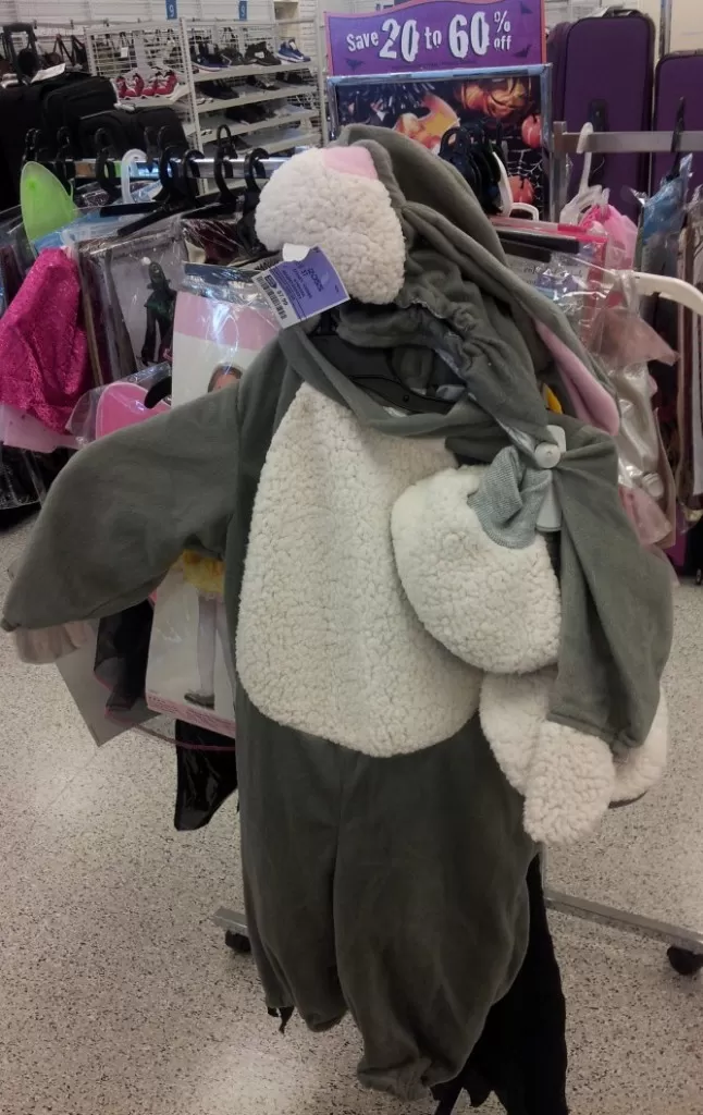 Bunny costume at Ross