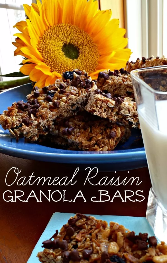 Oatmeal Raisin Granola Bars