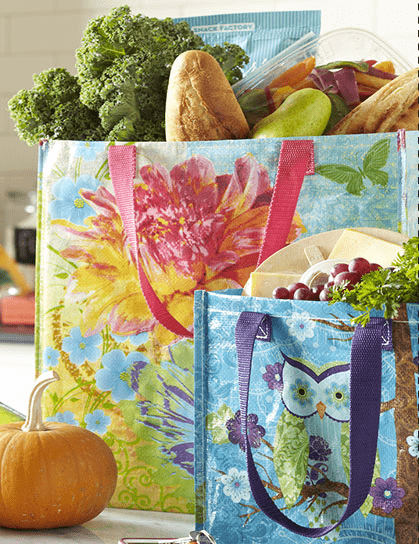 Pier One Free Reusable Bag