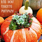 Use your favorite pumpkin as the perfect vase for fall flower arrangements and harvest decor