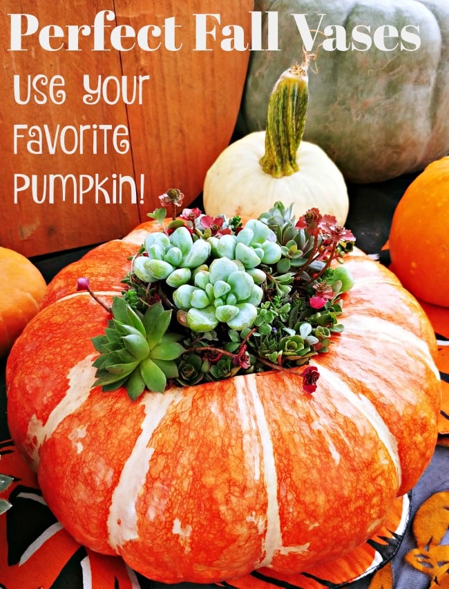 Use your favorite pumpkin as the perfect vase for fall flower arrangements and harvest decor