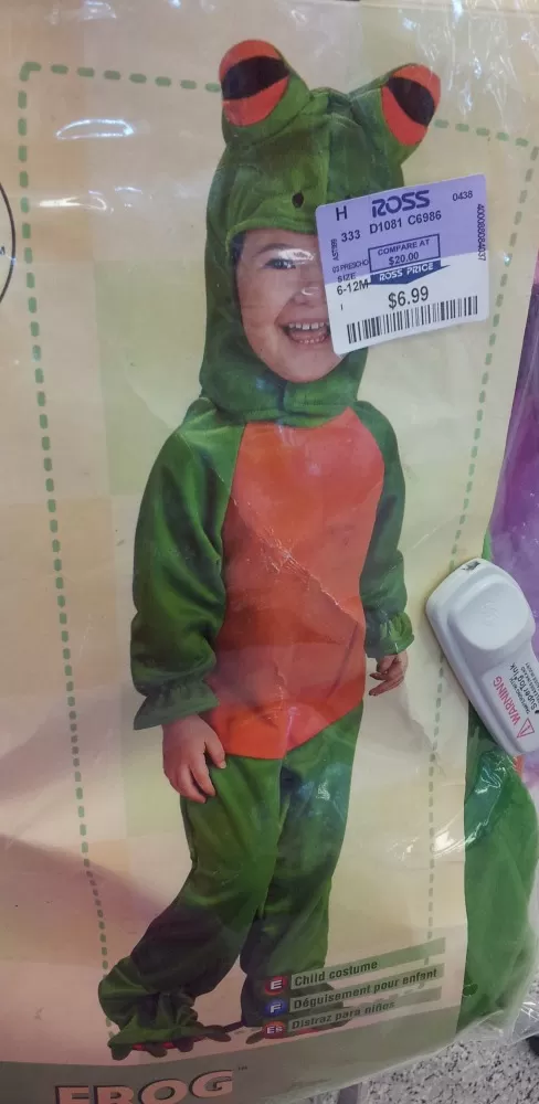 Frog Costume at Ross