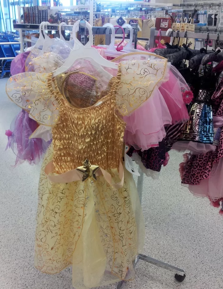 princess costume at ross