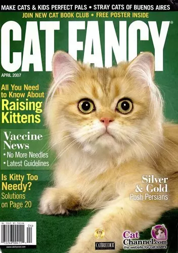 cat fancy magazine