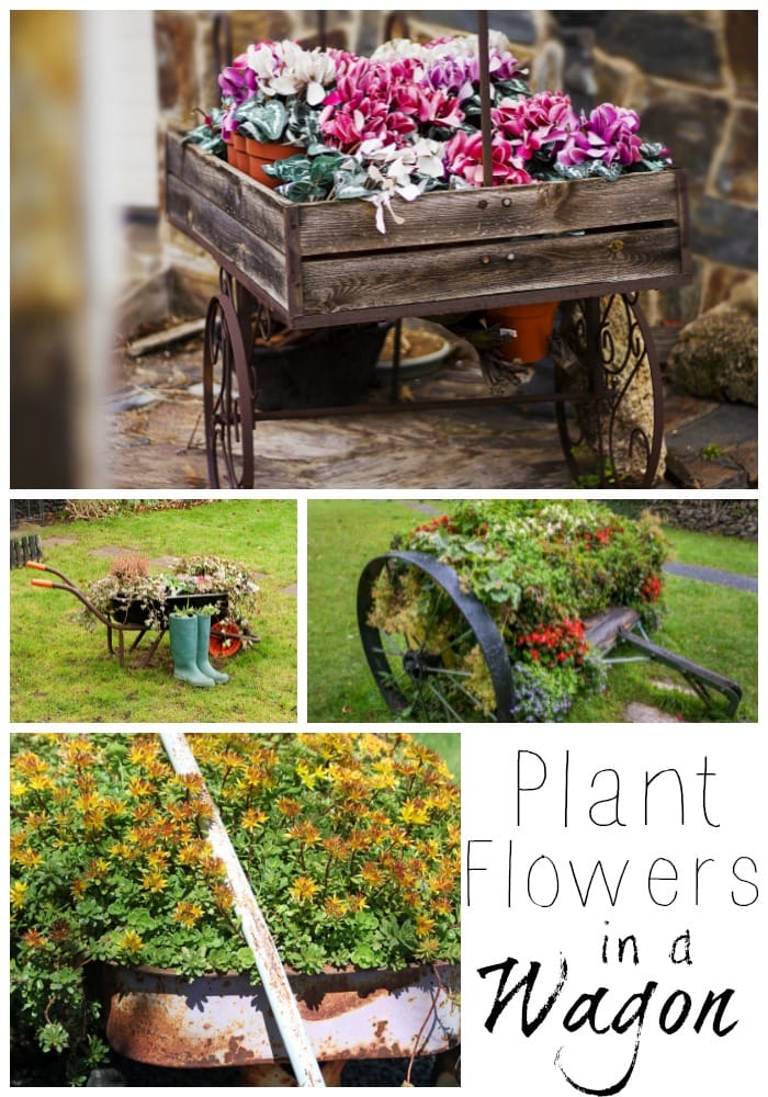Plant flowers in a wagon to reuse items around house for planters