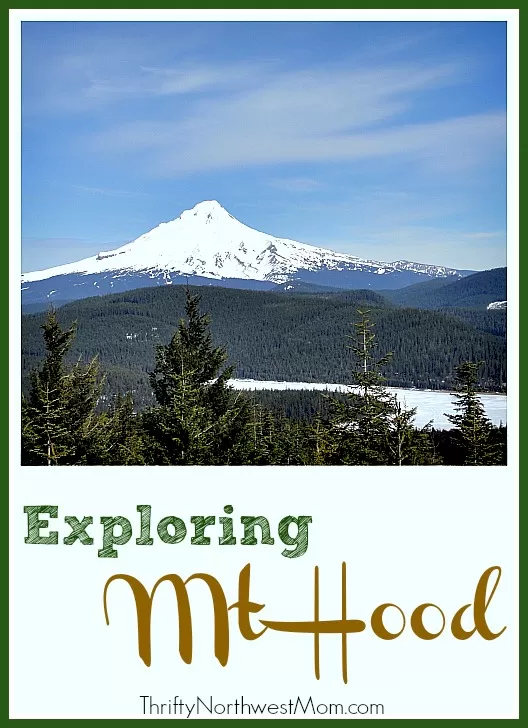 Family Friendly Activities at Mt Hood for all Seasons!