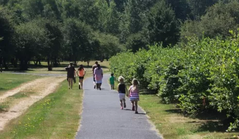 Charlotte's Blueberry Park Path