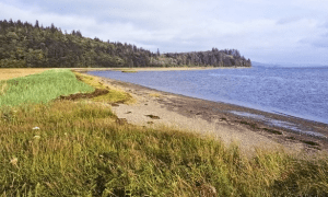 Groupon Ocean Shores