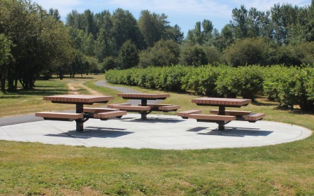 Charlottes Blueberry Park Picnic Area Picnic Tables at Charlottes Blueberry park