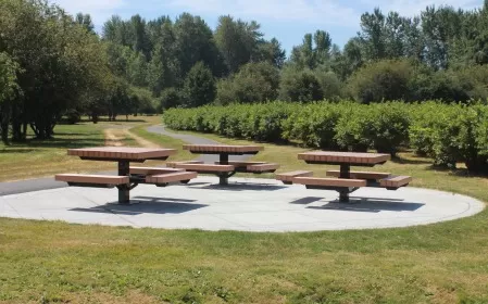 Picnic Tables at Charlottes Blueberry park