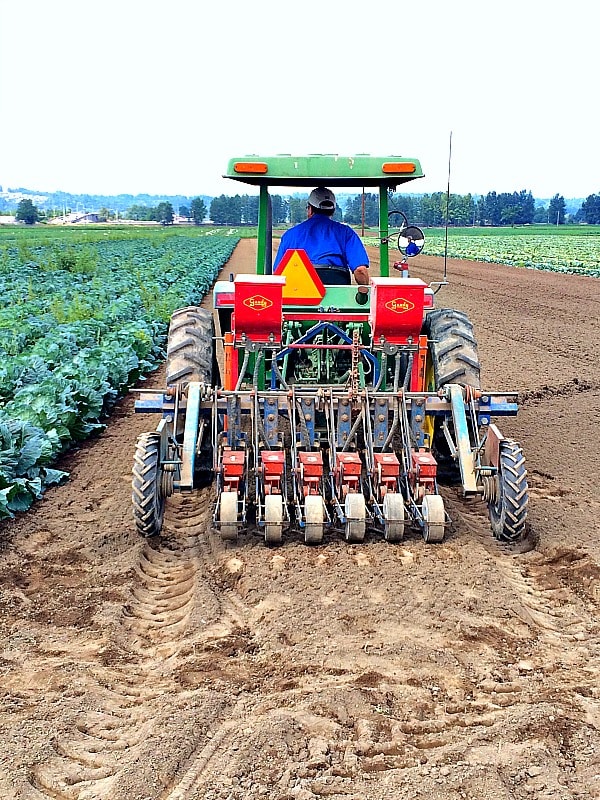 Planting Seeds at Carpinito Farms