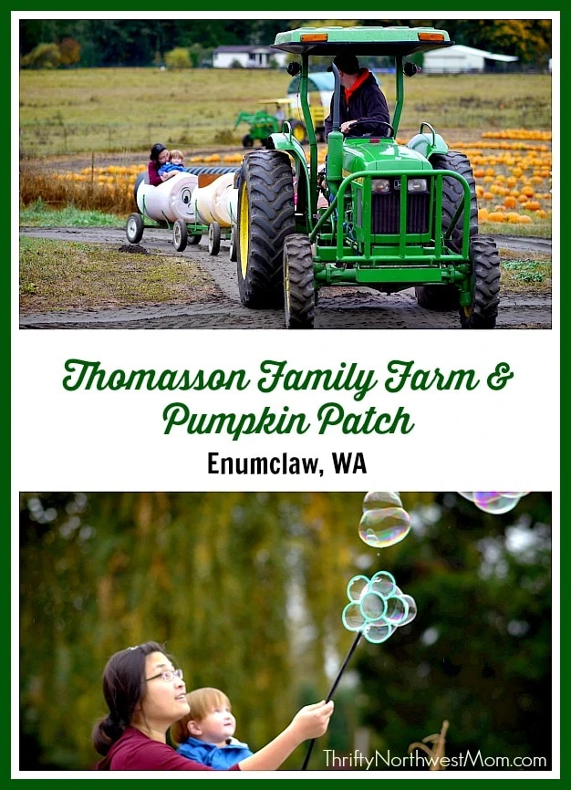 Thomasson Family Farm & Pumpkin Patch Review – Enumclaw, WA