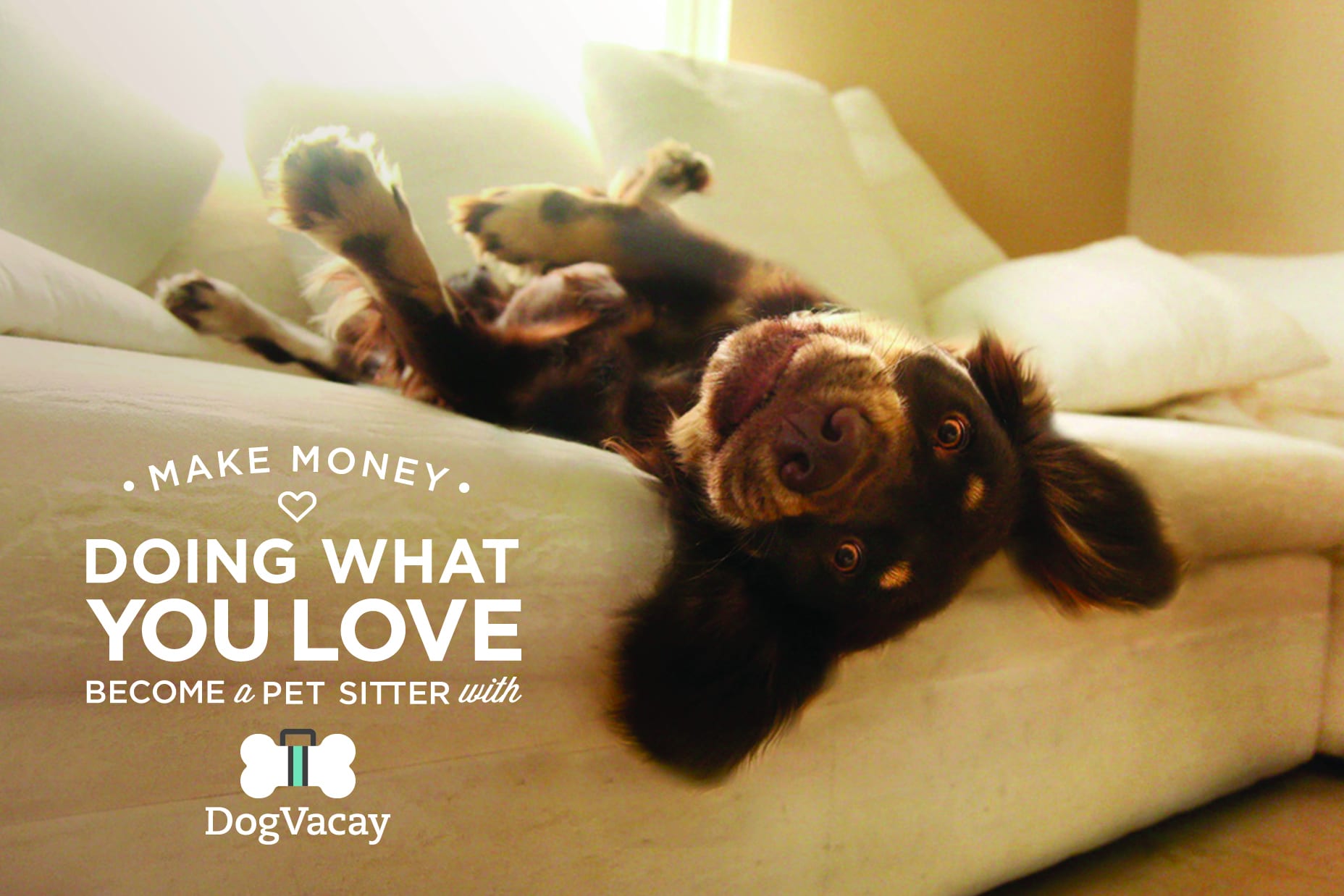 Dog Vacay – Online Dog Sitter Service – $10 Off Coupon Code + Sign up to Earn Extra Money!
