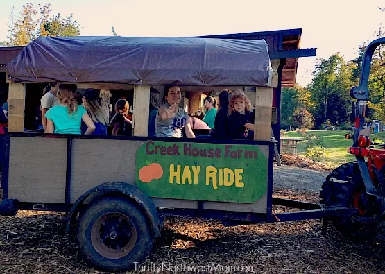 Creek House Farm & Pumpkin Patch Review – Port Orchard, WA!