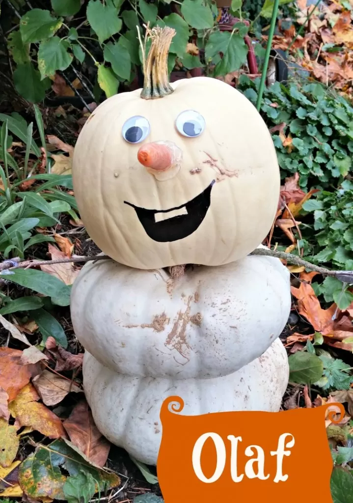 Make An Olaf Snowman (from Disneys Frozen) Using White Pumpkins!