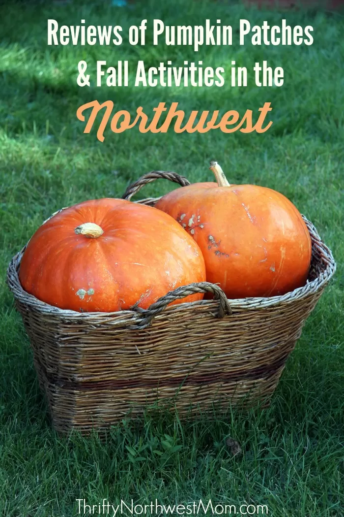 Reviews of Pumpkin Patches & Fall Activities in the Northwest