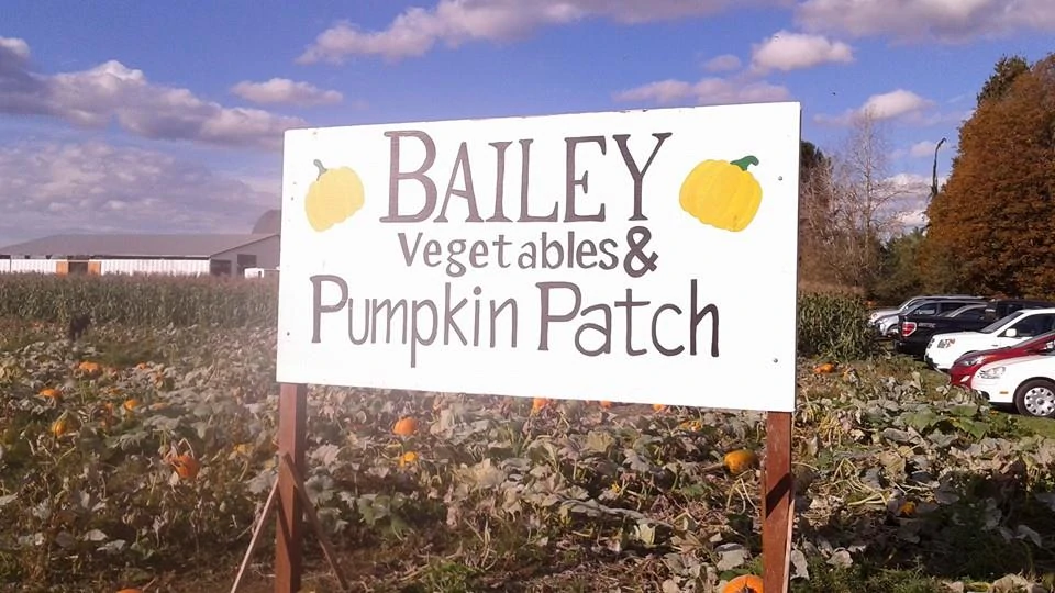 Bailey Vegetables and Pumpkin Patch Review – Snohomish, WA
