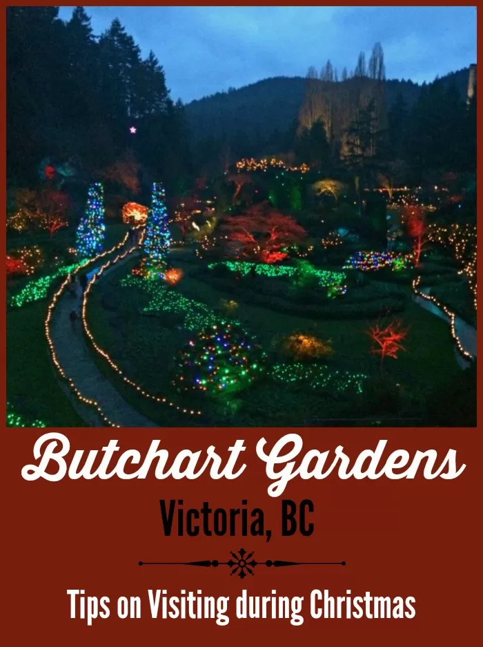 Butchart Gardens in Victoria, BC at Christmas – Tips & Ways to Save!